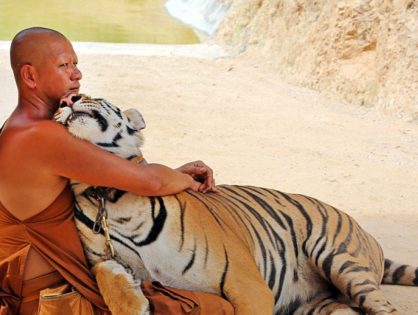 פחד והזהירות שיצאה מכלל שליטה